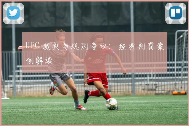 UFC 裁判与规则争议：经典判罚案例解读