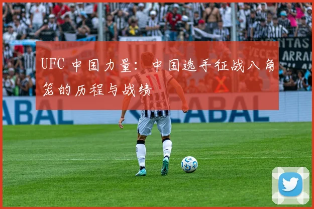 UFC 中国力量：中国选手征战八角笼的历程与战绩